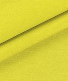 IMAGE_T