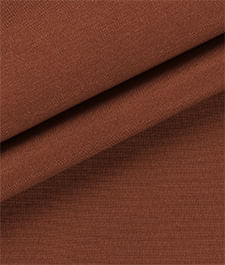 IMAGE_T