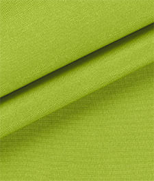 IMAGE_T