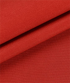 IMAGE_T