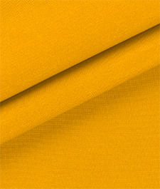 IMAGE_T