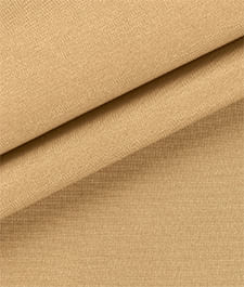 IMAGE_T