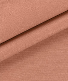 IMAGE_T