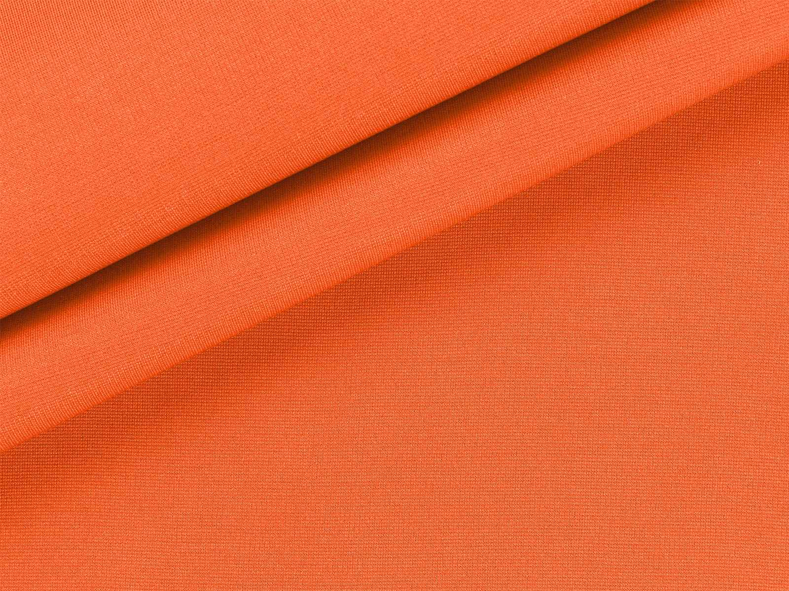 IMAGE_L