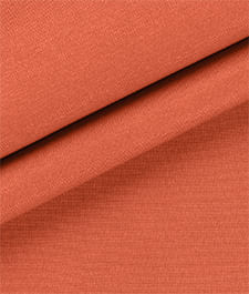 IMAGE_T