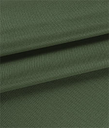 IMAGE_T