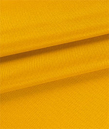 IMAGE_T