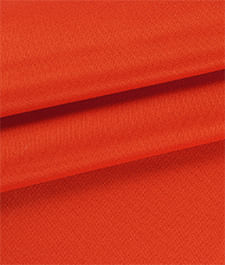 IMAGE_T