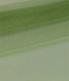 IMAGE_T