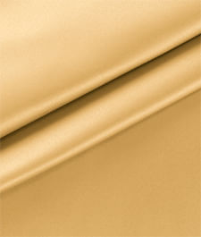 IMAGE_T