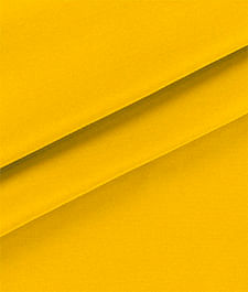 IMAGE_T