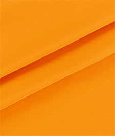 IMAGE_T