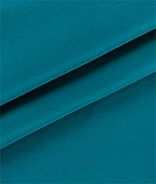 IMAGE_T