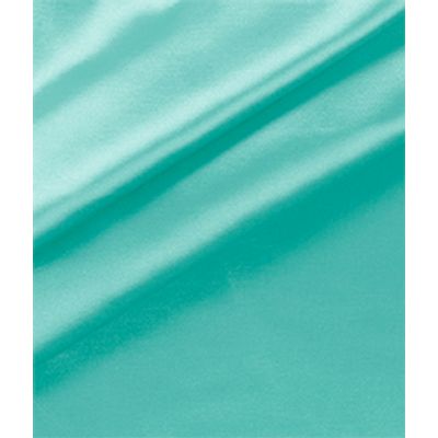 IMAGE_T