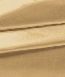 IMAGE_T