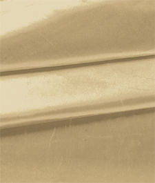 IMAGE_T