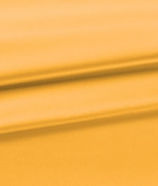 IMAGE_T