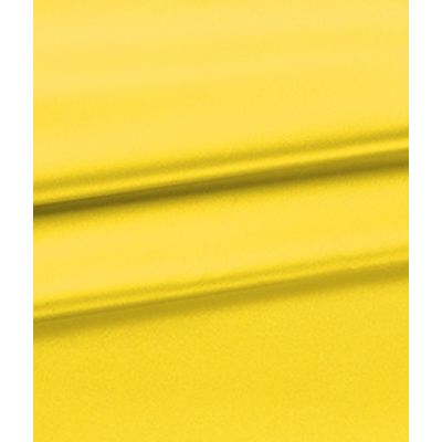 IMAGE_T