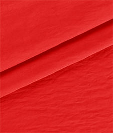 IMAGE_T