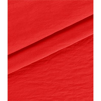 IMAGE_T