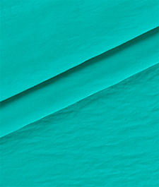 IMAGE_T