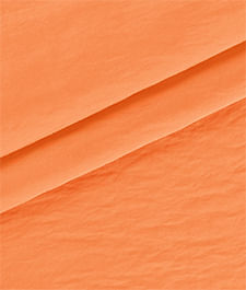 IMAGE_T