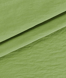 IMAGE_T