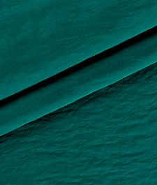 IMAGE_T