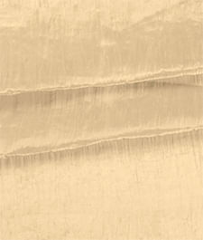 IMAGE_T