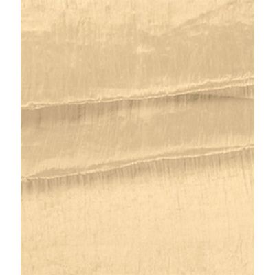 IMAGE_T