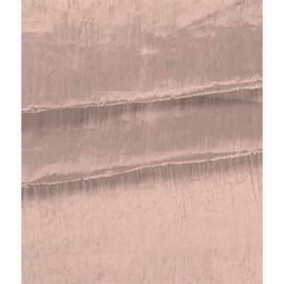 IMAGE_T