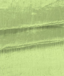 IMAGE_T