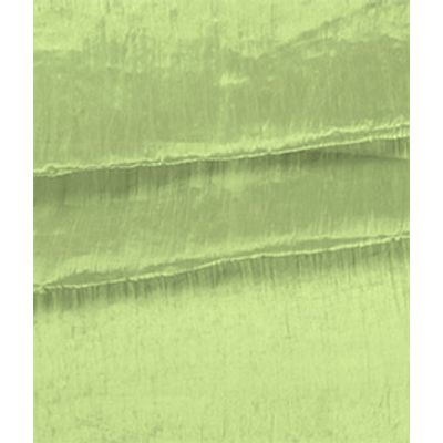 IMAGE_T