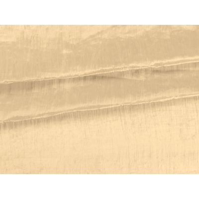 IMAGE_L