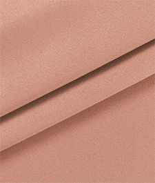 IMAGE_T