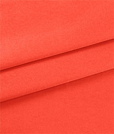 IMAGE_T