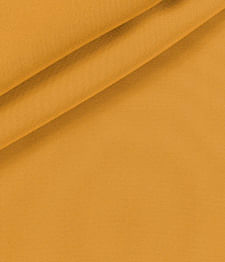 IMAGE_T