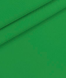 IMAGE_T