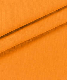 IMAGE_T