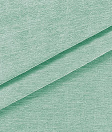 IMAGE_T
