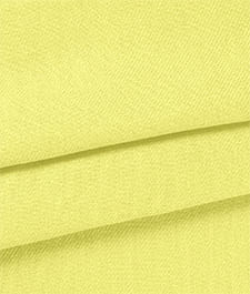 IMAGE_T