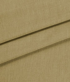 IMAGE_T