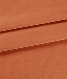 IMAGE_T