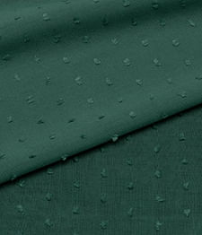 IMAGE_T