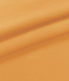 IMAGE_T