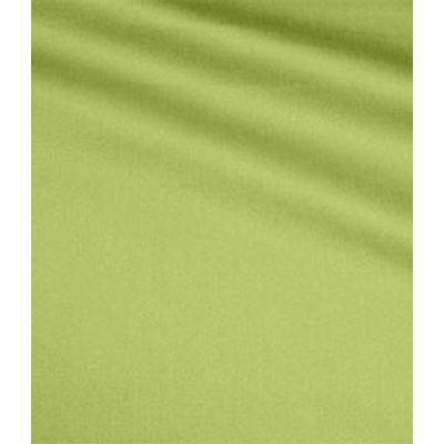 IMAGE_T