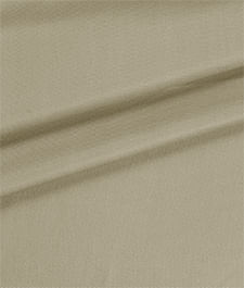 IMAGE_T
