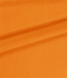 IMAGE_T