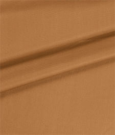 IMAGE_T
