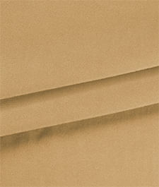 IMAGE_T